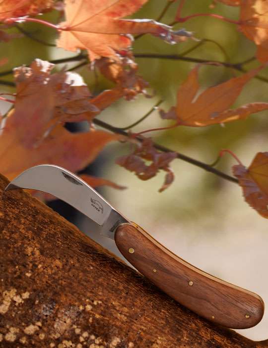 Mood_Gartenmesser-540x700px Gartenmesser – OTTER-Messer