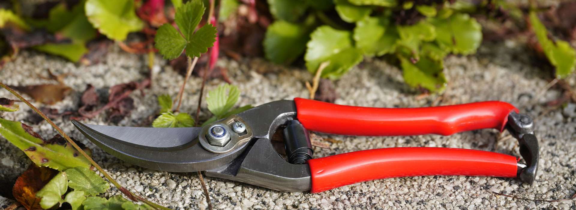 Gartenschere Gartenschere – OTTER-Messer
