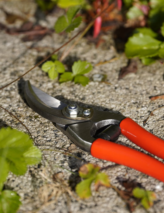 Gartenschere_540x700px Gartenschere – OTTER-Messer