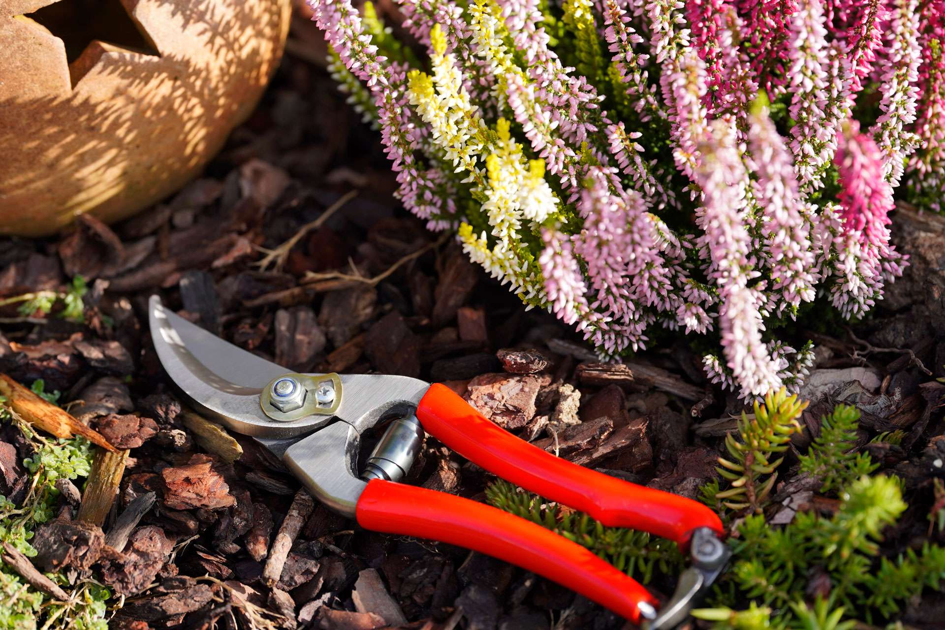 Gartenscheren Gartenschere – OTTER-Messer