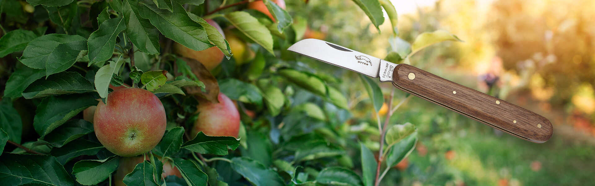 Oku-Kopuliermesser_1920x600px Oku-Kopuliermesser_1920x600px