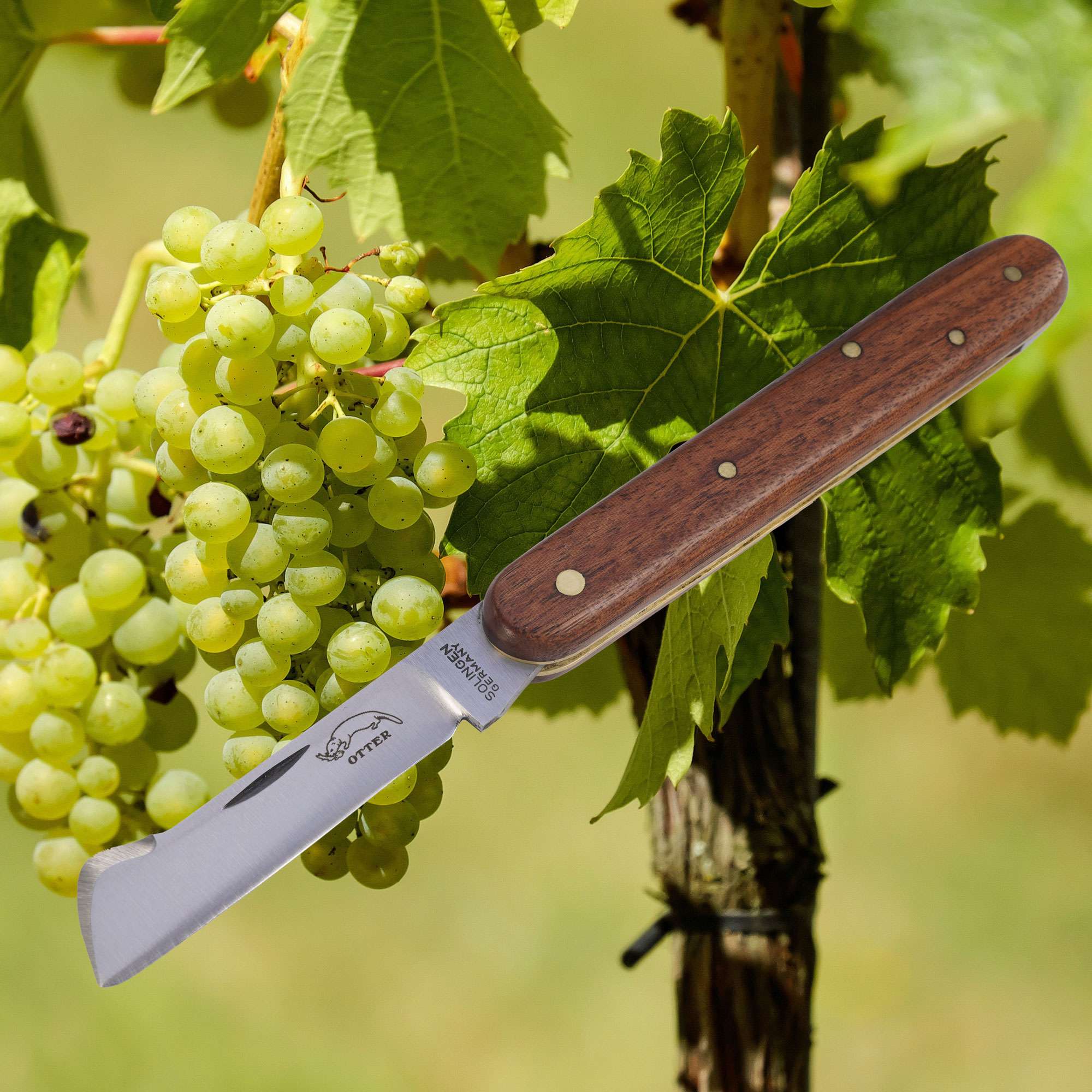 OTTER Okuliermesser mit Klingenlöser 123 OTTER Okuliermesser mit Klingenlöser 123