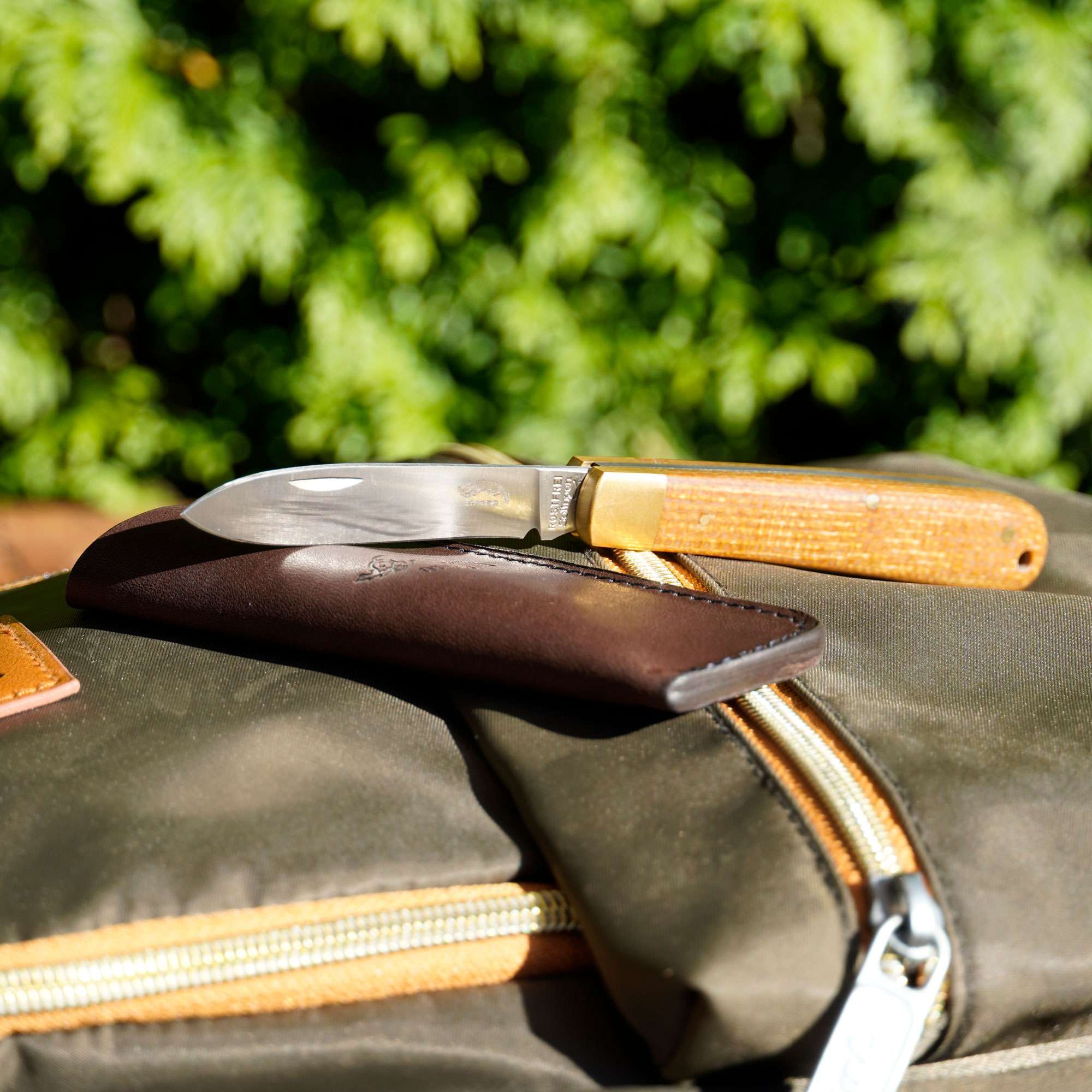OTTER Klassik Micarta OTTER Klassik Micarta – Taschenmesser aus Solingen – Ansicht 2