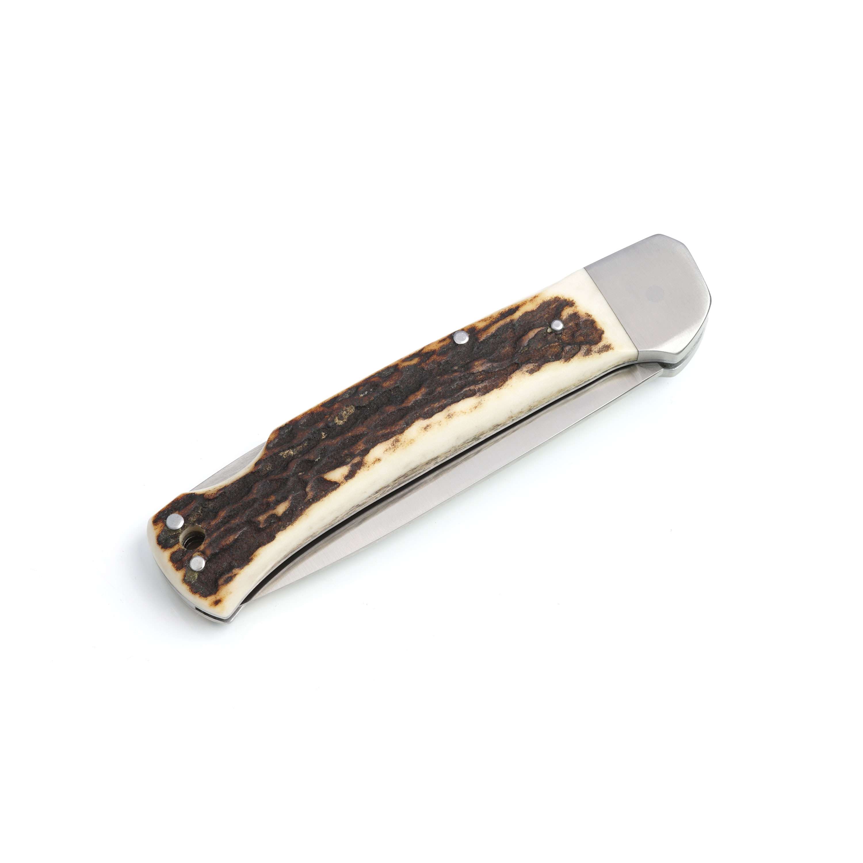 ROTWILD "Reineke" Buckhorn*